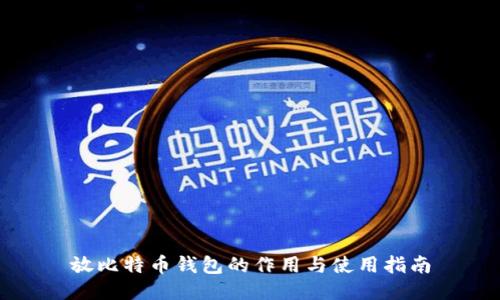 放比特币钱包的作用与使用指南