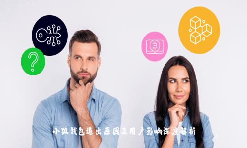 小狐钱包退出原因及用户影响深度解析