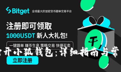 如何重新打开小狐钱包：详细指南与常见问题解答