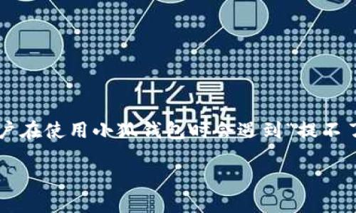 小狐钱包是一款在市场上备受关注的数字货币钱包，它为用户提供了安全、便捷的数字资产管理服务。但是，有些用户在使用小狐钱包时会遇到“提不了币”的问题，这不仅令他们感到困惑，也可能影响他们的投资体验。本文将就此问题进行深入探讨，并提供解决方案。

小狐钱包提不了币的原因及解决方法
