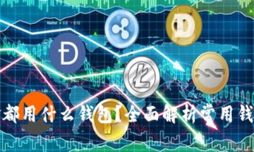 比特币现金都用什么钱包？全面解析常用钱包及其优势