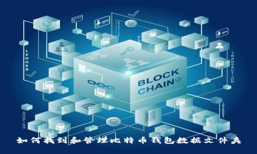 如何找到和管理比特币钱包数据文件夹