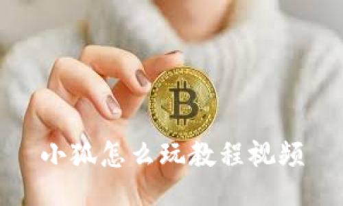 小狐怎么玩教程视频
